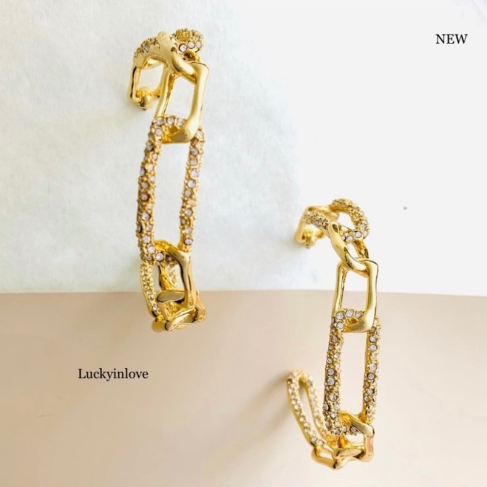 Alexis Bittar XL Golden Crystal Encrusted Textured Chain Link Hoop Post Earrings - Picture 11 of 16